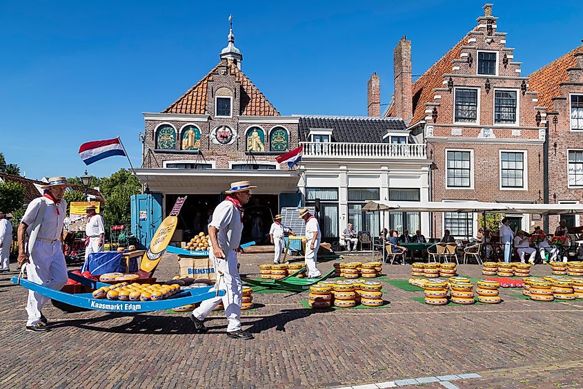 Cheese carriers on the cheese market in the Dutch city of Edam.