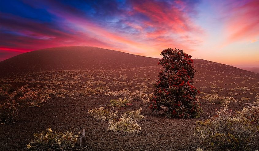 Hawaii Volcanoes National Park