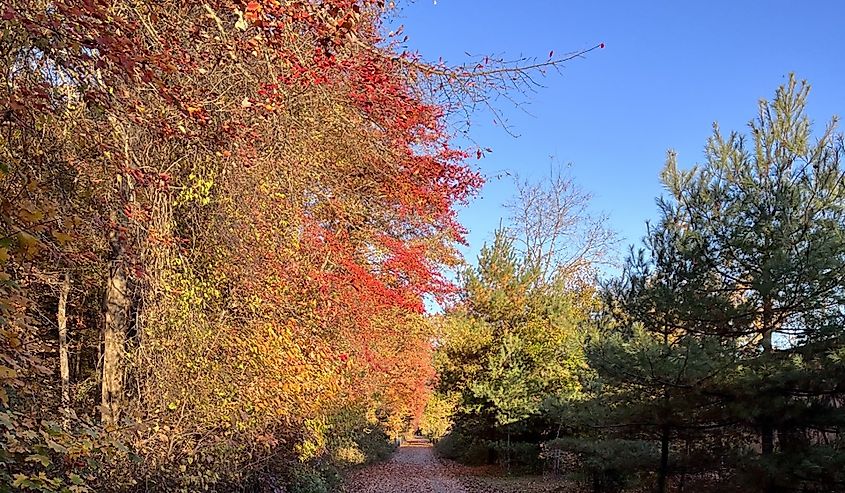 Glassboro, New Jersey fall time.