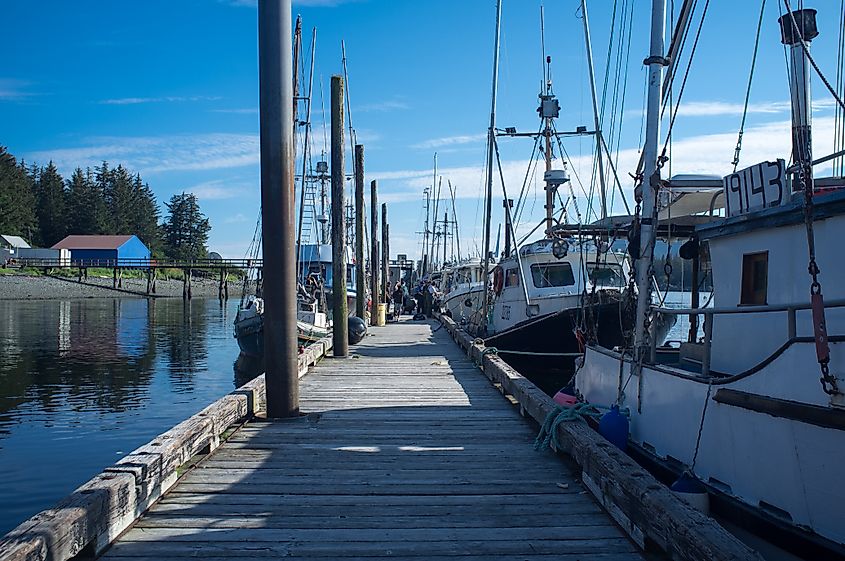 Fishing boats docked in Port Alexander, a small commercial fishing village on Baranof Island.