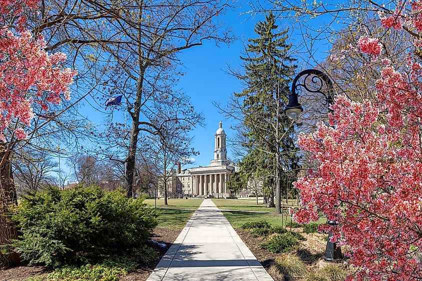 The spring flowers in the campus of Penn State University