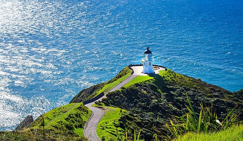 Stunning view over Cape Reinga Lighthouse and a winding path leading to it. Famous tourist attraction at Cape Reinga, the northernmost point of of New Zealand.