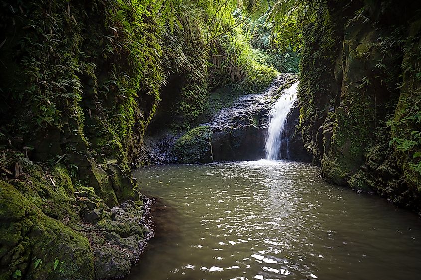 Maunawili Falls