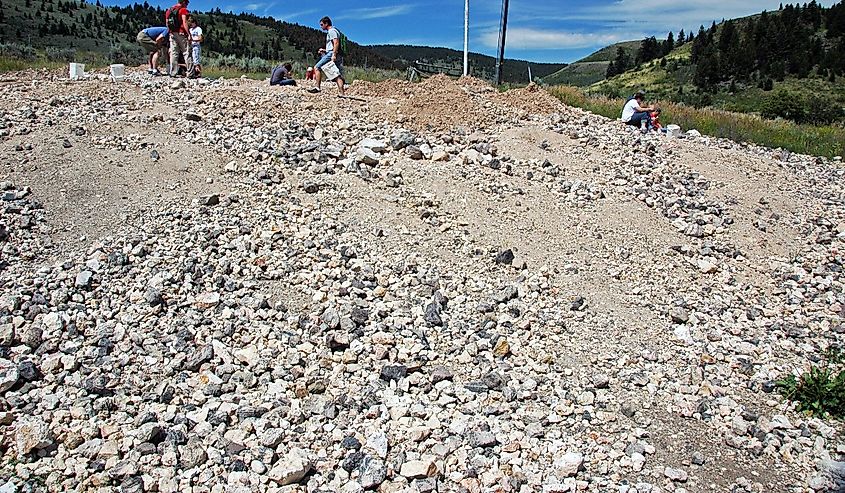 Tourists collecting rocks at the Spencer Opal Mine in Dubois, Idaho.