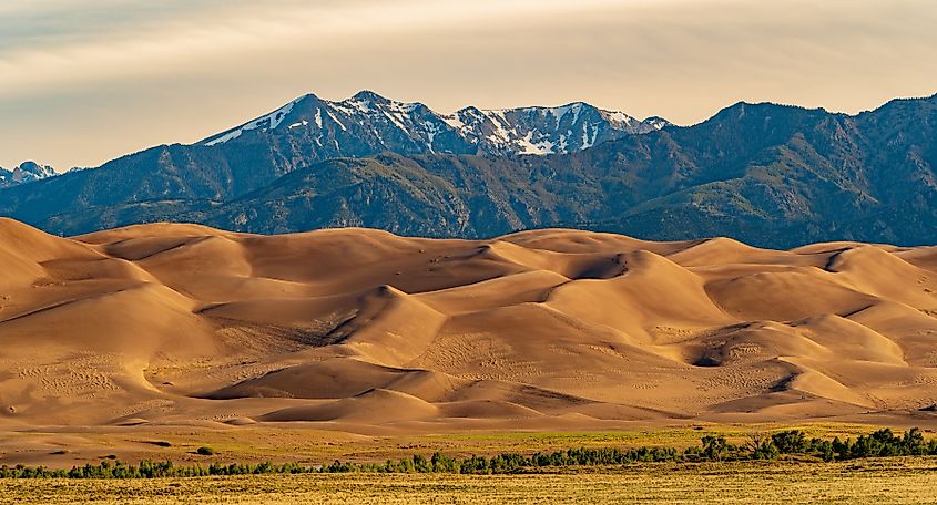 Sand dunes in the Great Sand Dunes National Park of Colorado.