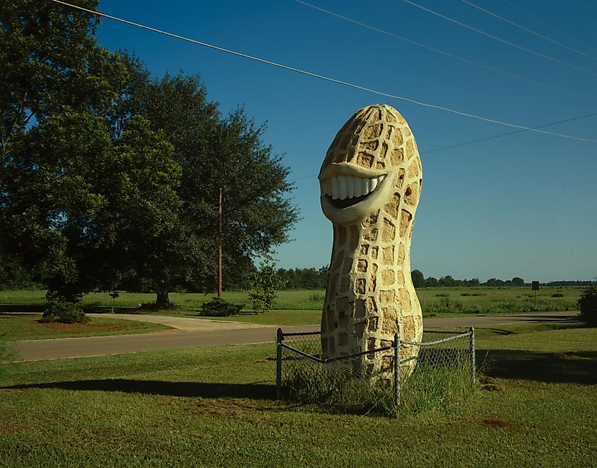 A giant smiling peanut statue on the southern side of Highway 45 near Plains, Sumter County, Georgia. Built in 1947, it is linked to Plains native Jimmy Carter.