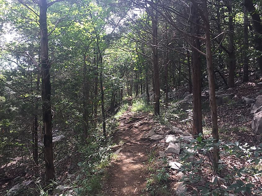 Trail through the Monte Sano State Park.