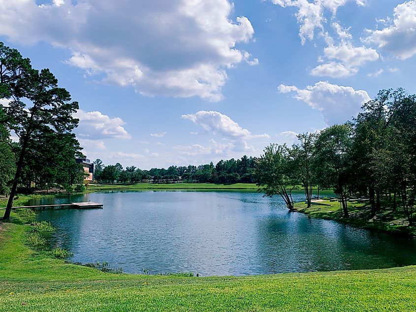 Lake and landscape in Tyler, Texas.