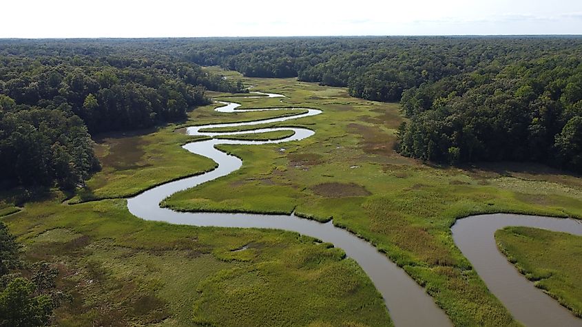 A winding river in York River State Park near Williamsburg, Virginia.