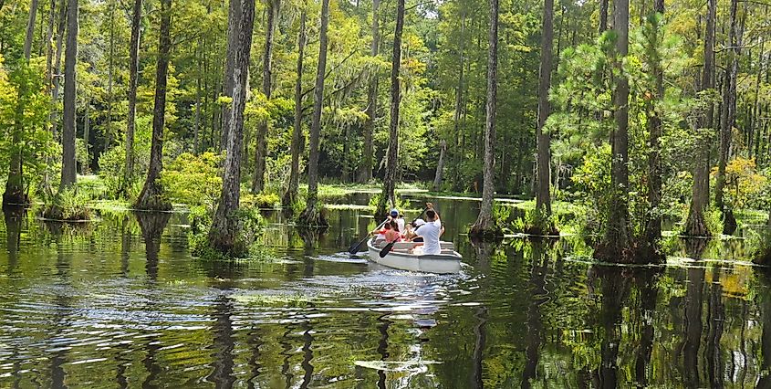 Cypress Gardens of Moncks Corner, South Carolina.