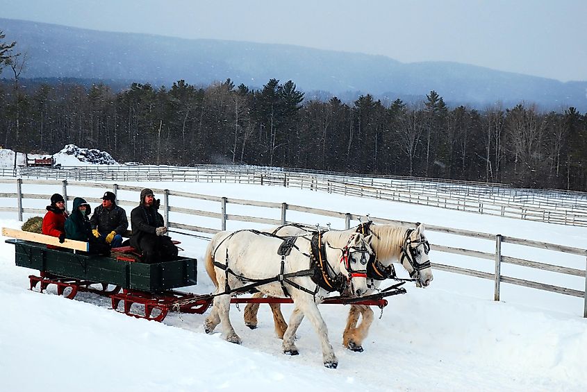 A horse drawn sleigh tours the country side during a winter snow near the Christmas holiday in Stockbridge, Massachusetts. Editorial credit: James Kirkikis / Shutterstock.com