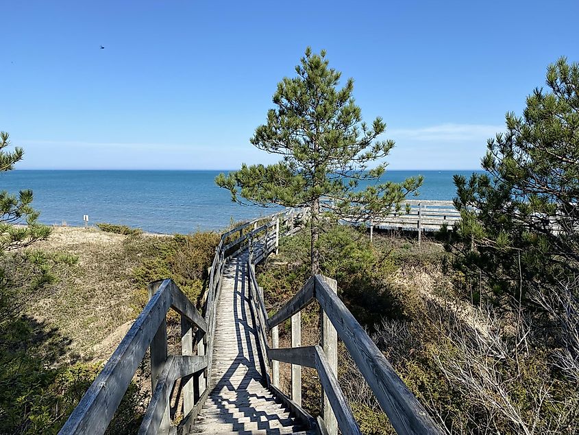An extensive wooden staircase/boardwalk heads through a sand dune ecosystem and towards the big blue waters of Lake Huron