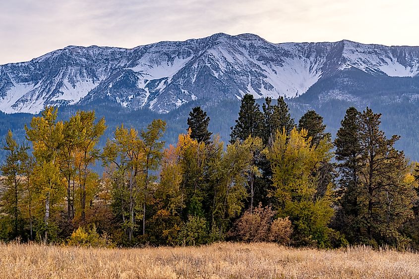 Beautiful fall landscape around Joseph, Oregon.