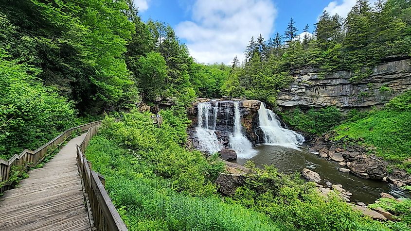 Blackwater Falls State Park in Davis, West Virginia.