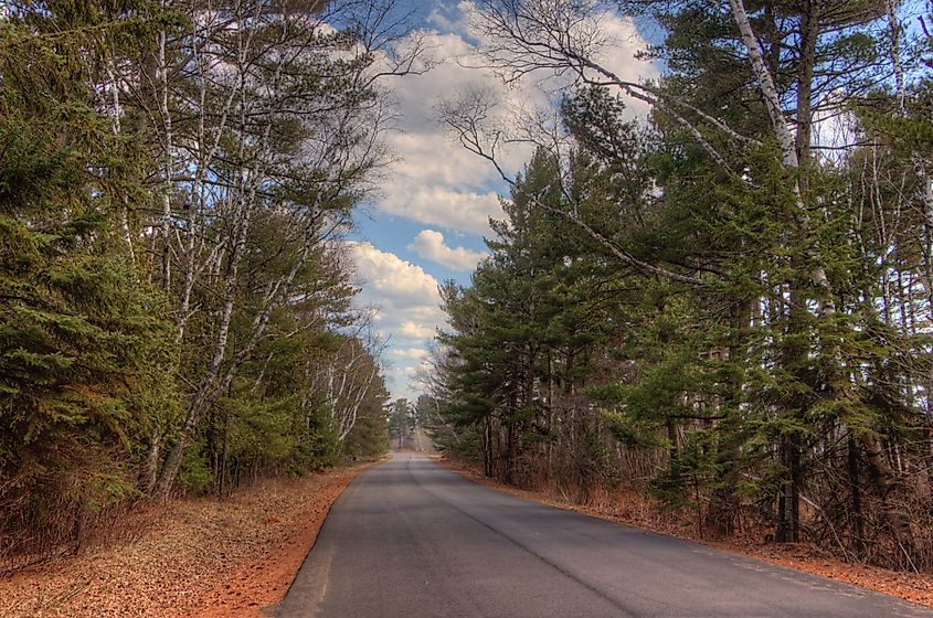 A forested trail in the town of Superior, Wisconsin.