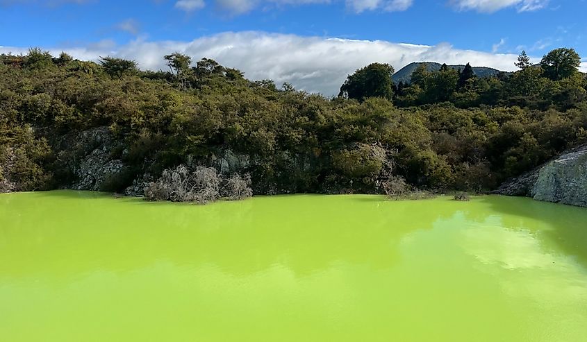 Devil's Bath, Wai-O-Tapu Thermal Wonderland, Rotorua, North Island of New Zealand