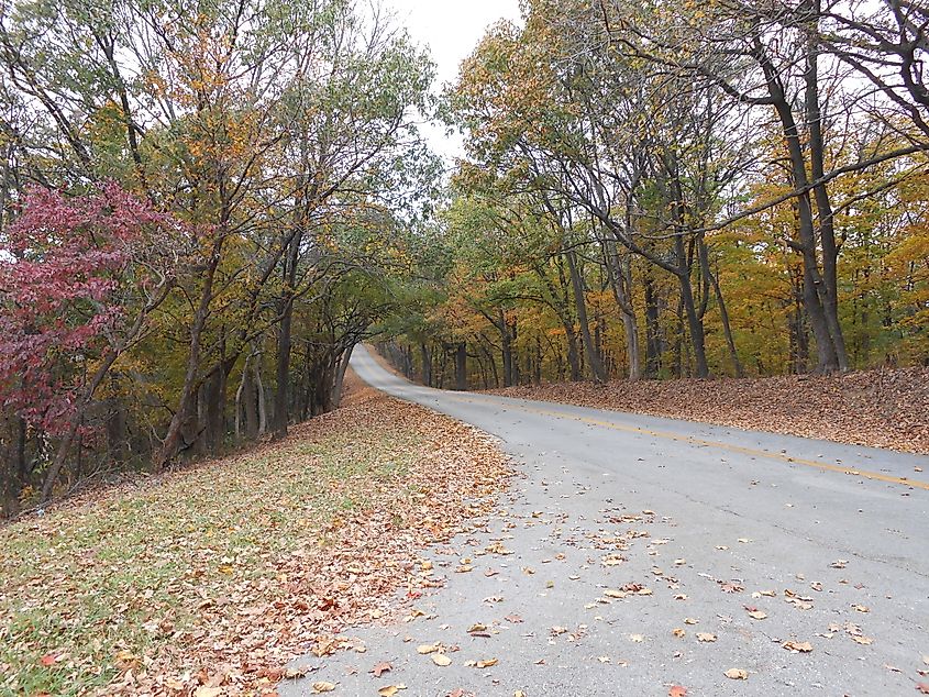 Pere Marquette State Park in Grafton, Illinois, during autumn, featuring vibrant fall foliage with colorful trees and scenic views of the rolling hills and river.