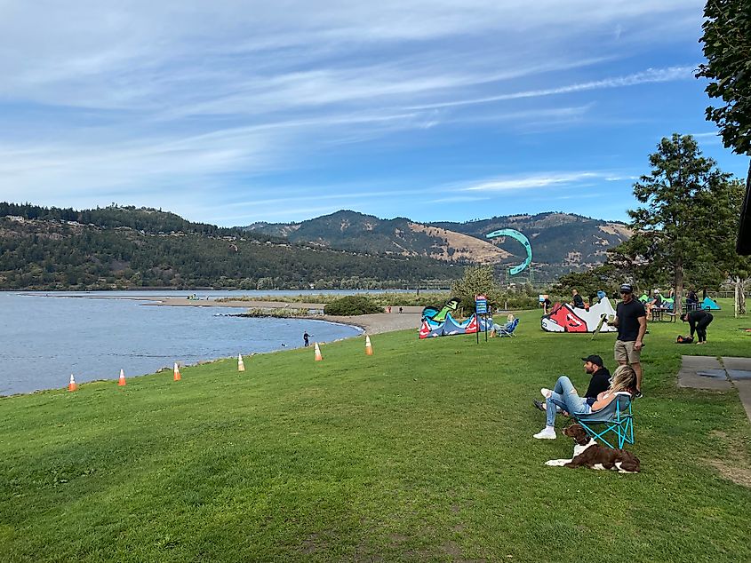 A couple and their dog sit in camping chairs on the grass by a river, watching kite boarders