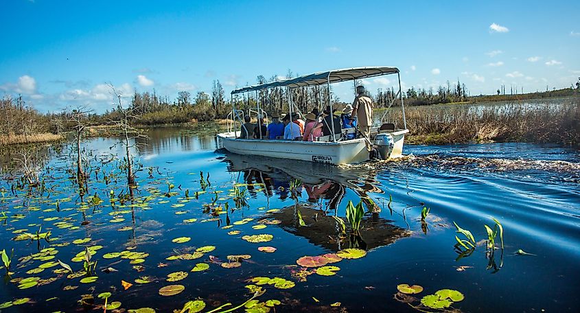 A tour boat in the Okefenokee Swamp National Wildlife Refuge, Georgia.
