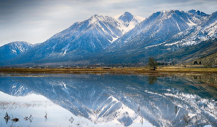 Beautiful reflections of snow capped mountains in a still pond near Genoa, Nevada