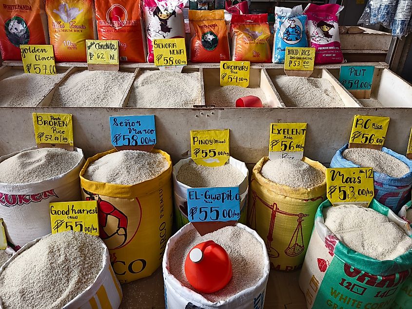 Prices of different rice variants at a public market stall in Tubigon, Bohol, Philippines. Editorial credit: MDV Edwards / Shutterstock.com