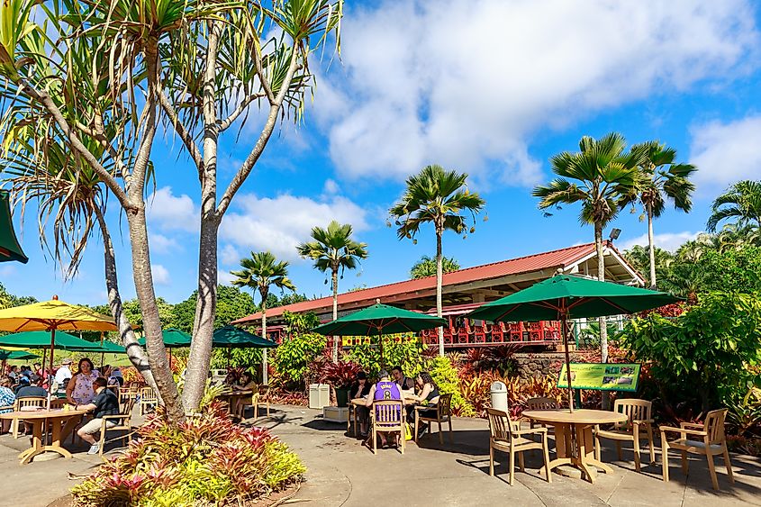 Dole Plantation in Wahiawa.