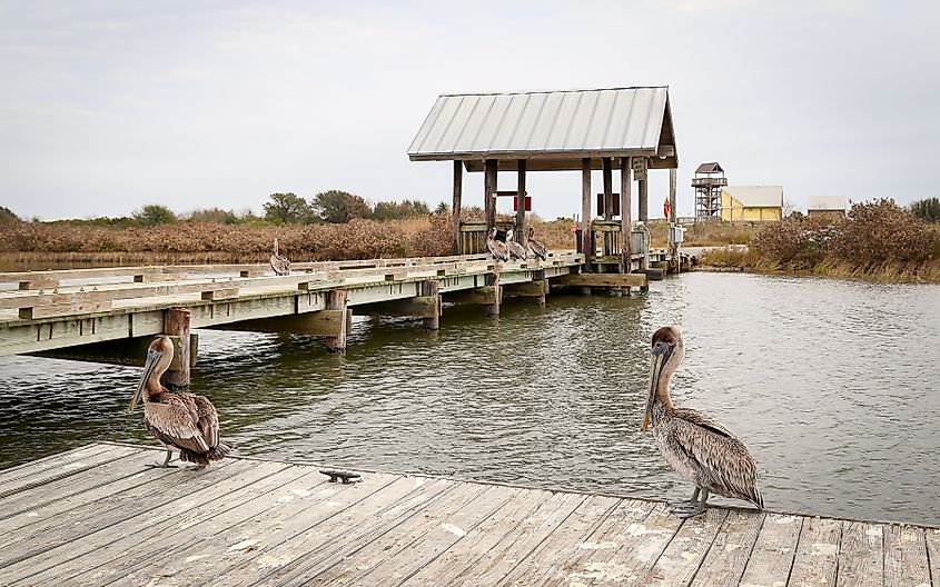 Grand Isle, Louisiana