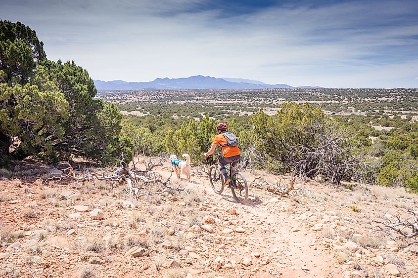 Man biking along a trail in the Galisteo Basin Preserve in New Mexico.