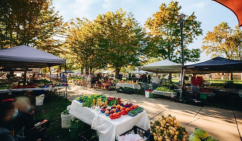 Early Autumn farmers market taken mid-morning as a long exposure showing the beautiful vegetables