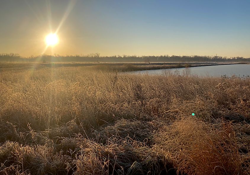 Eagle Marsh Nature Preserve in winter