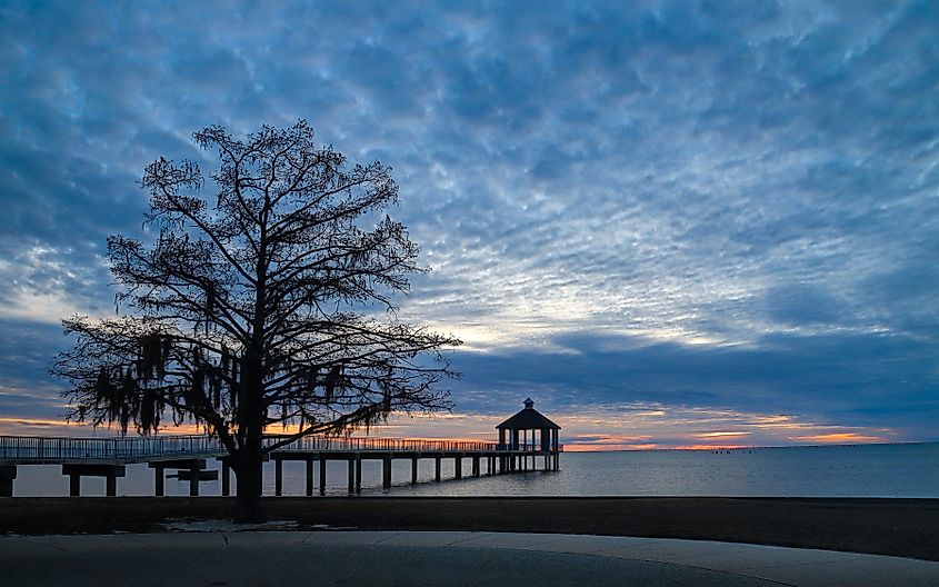 Fontainebleau State Park, Louisiana. Editorial credit: Wirestock Creators / Shutterstock.com