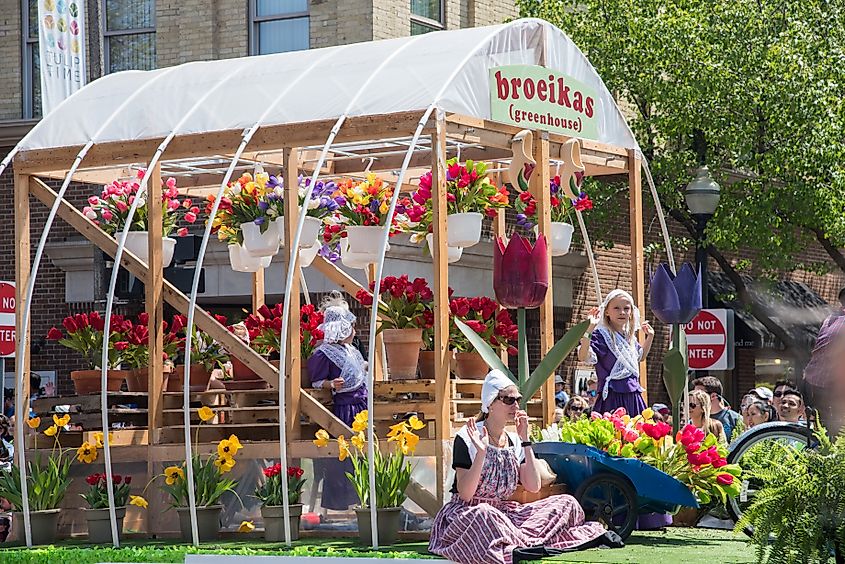 A greenhouse filled with tulips in downtown Holland, Michigan