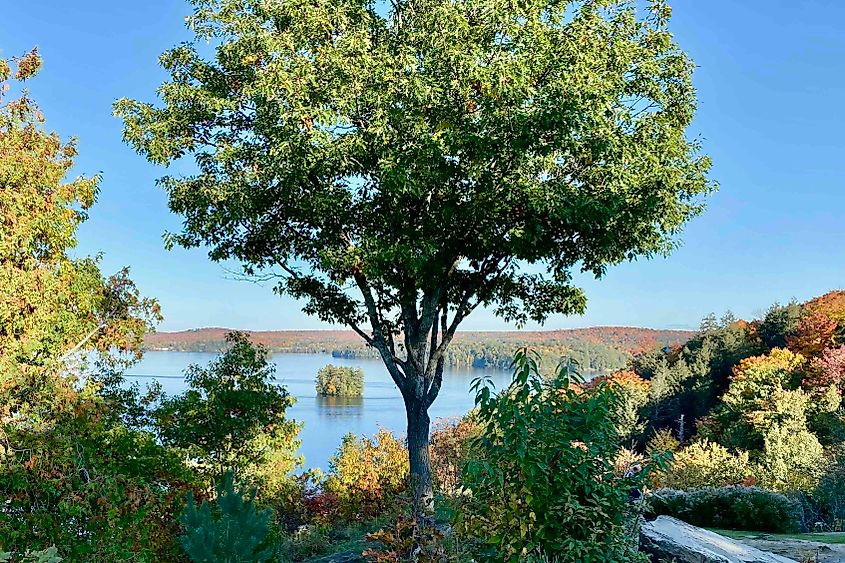 Fall views from Lion's Lookout in Huntsville. Image credit Bryan Dearsley
