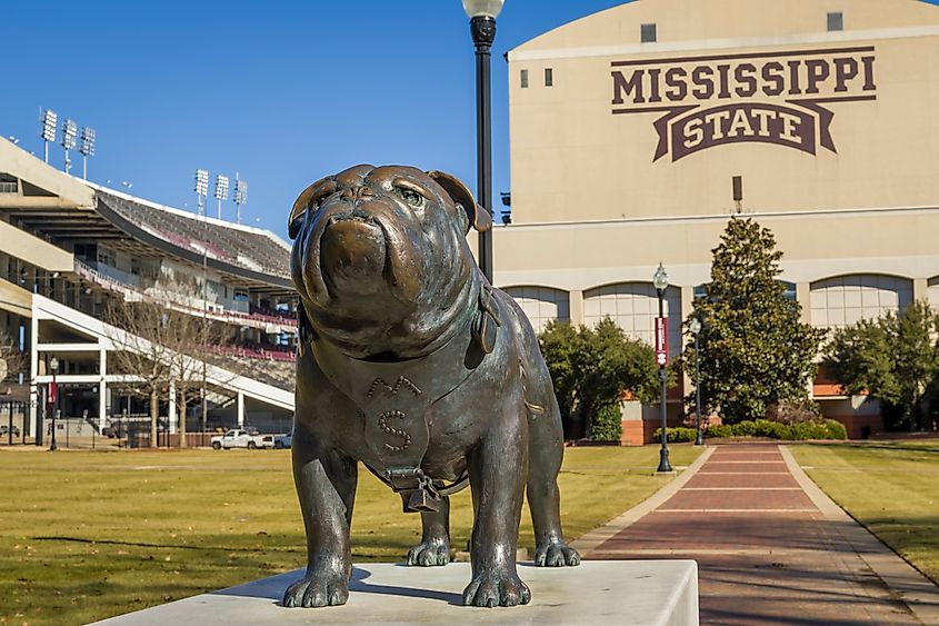 Mississippi State University Bulldogs campus featuring the Bully statue with the football stadium in the background in Starkville, Mississippi.