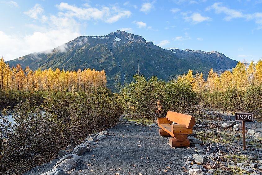 Exit Glacier Trail in the Kenai Fjords National Park in Alaska.