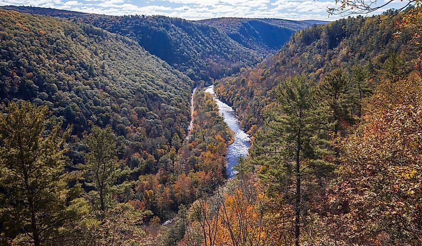 Fall foliage colors at Leonard Harrison State Park. Pine Creek Gorge