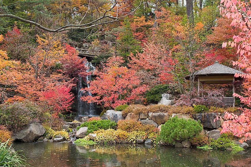 Anderson Japanese Gardens, Rockford, Illinois