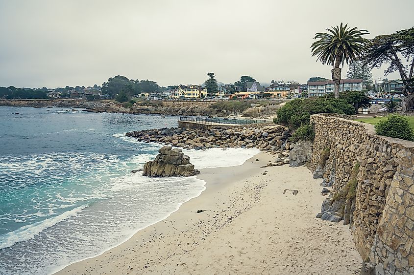 The coastline in Monterey, California.