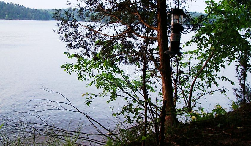 Looking out over Lake Wateree, South Carolina from the shoreline.