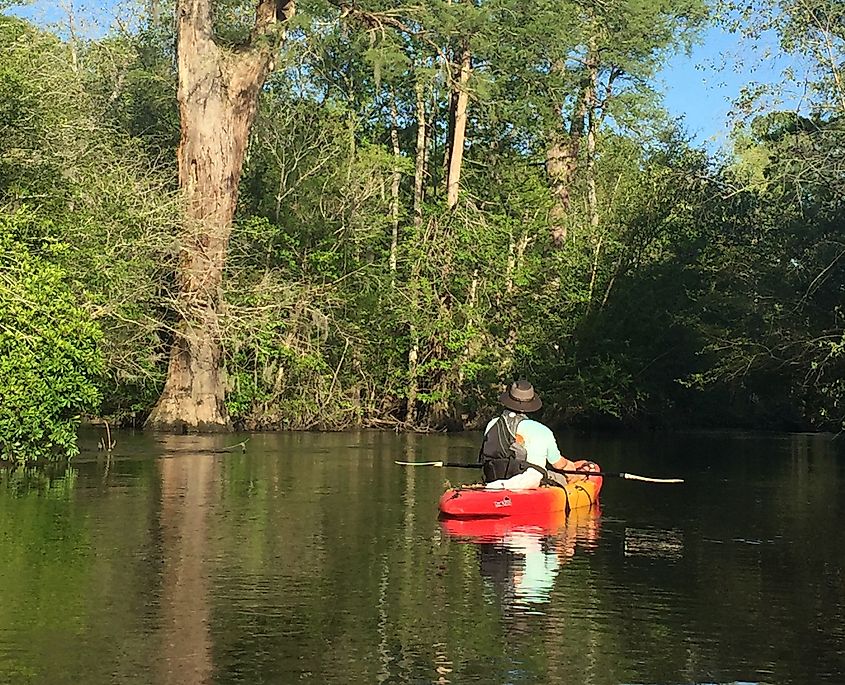 A kayaker exploring the Lynches River.