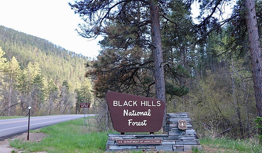 Welcome to Black Hills National Forest sign. 