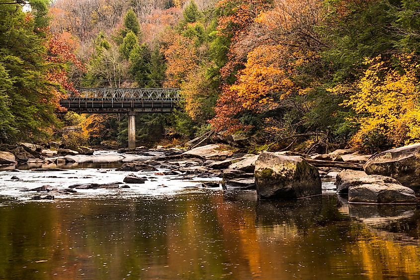 A vibrant autumn scene at Swallow Falls State Park in western Maryland, with colorful foliage in shades of red, orange, and yellow surrounding the cascading waterfalls and rocky terrain. The crisp air and rich colors create a picturesque setting.