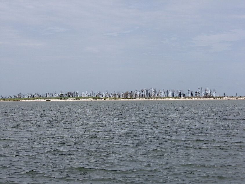 Petit Bois Island viewed from Mississippi Sound