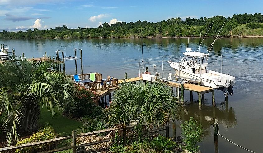 The water near Newport, North Carolina.