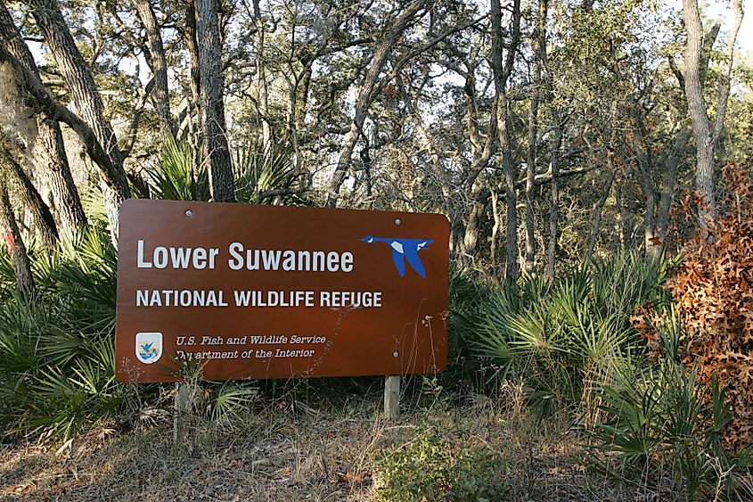 The Shell Mound is part of the Lower Suwannee National Wildlife Refuge.