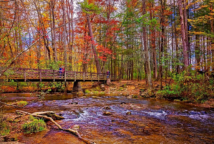 Fall foliage adds splashes of color at the trailhead to Abrams Falls in Cades Cove at Great Smoky Mountains National Park in Tennessee.