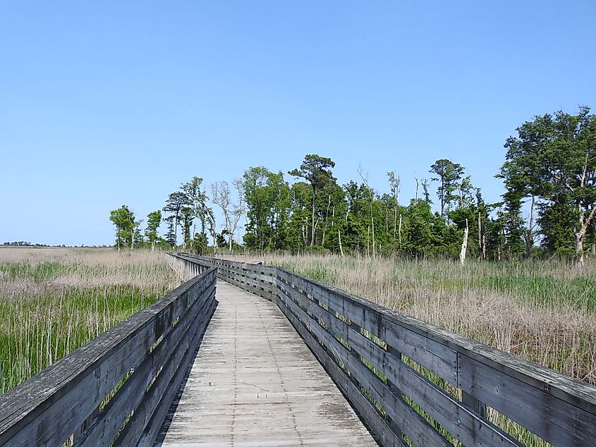 Prime Hook National Wildlife Refuge