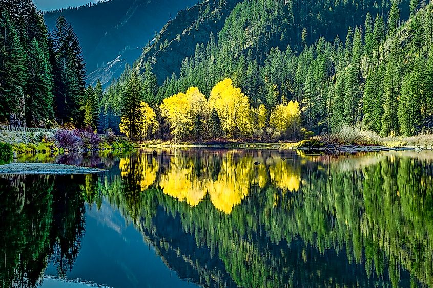 Autumn colors on Wenatchee river, Stevens Pass, Highway 2, Leavenworth, Washington