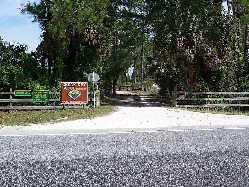 Entrance to the Cedar Key Scrub State Reserve, Florida