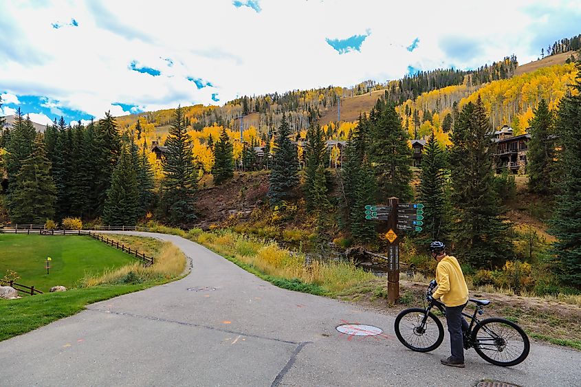 Mountain biker in Vail, Colorado.